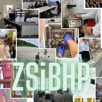 ZSiBHP_23.jpg